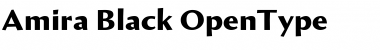 Download Amira Black Font Title Preview