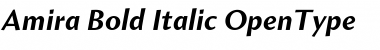 Download Amira Bold Italic Font Title Preview
