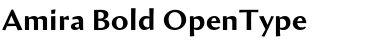 Download Amira Bold Font Title Preview