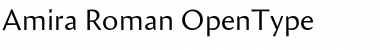 Download Amira Roman Font Title Preview