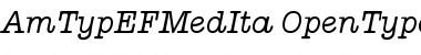 Download AmTypEFMedIta Regular Font Title Preview