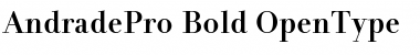 Download Andrade Pro Bold Font Title Preview