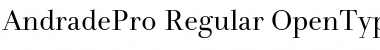 Download Andrade Pro Regular Font Title Preview