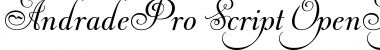 Download Andrade Pro Script Font Title Preview