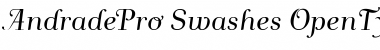 Download Andrade Pro Swashes Font Title Preview