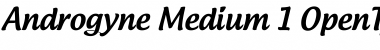 Download Androgyne Regular Font Title Preview