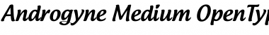 Download Androgyne Regular Font Title Preview