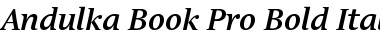 Download Andulka Book Pro Bold Italic Font Title Preview