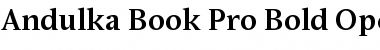 Download Andulka Book Pro Bold Font Title Preview
