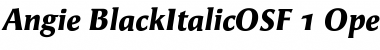 Download Angie BlackItalicOSF Font Title Preview