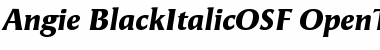 Download Angie BlackItalicOSF Font Title Preview