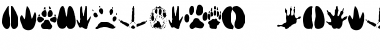 Download AnimalTracks Regular Font Title Preview
