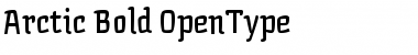 Download Arctic Bold Font Title Preview