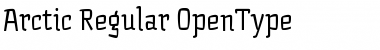 Download Arctic Regular Font Title Preview