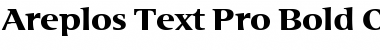 Download Areplos Text Pro Bold Font Title Preview