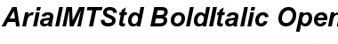 Download Arial MT Std Bold Italic Font Title Preview