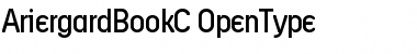 Download AriergardBookC Regular Font Title Preview
