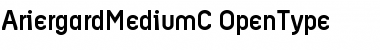 Download AriergardMediumC Regular Font Title Preview