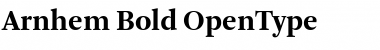Download Arnhem Bold Font Title Preview