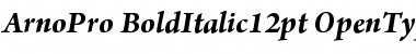 Download Arno Pro Bold Italic 12pt Font