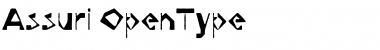 Download Assuri Regular Font Title Preview