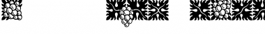 Download ASTYPE Ornaments WineGrape A Font Title Preview