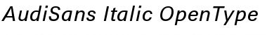 Download AudiSans Italic Font