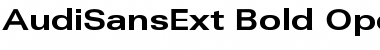 Download AudiSansExt Bold Font