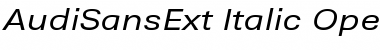 Download AudiSansExt Italic Font