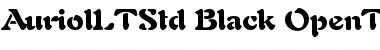 Download Auriol LT Std Black Font Title Preview