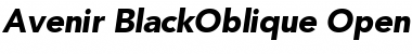 Download Avenir 95 Black Oblique Font Title Preview