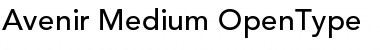 Download Avenir 65 Medium Font