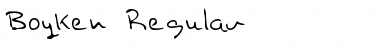Download Boyken Regular Font Title Preview