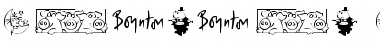 Download Boynton Bats Regular Font Title Preview