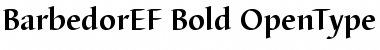 Download BarbedorEF Bold Font Title Preview