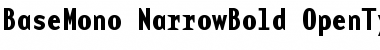 Download BaseMono-Narrow Bold Font Title Preview