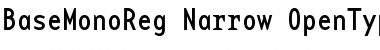 Download BaseMonoReg-Narrow Roman Font Title Preview