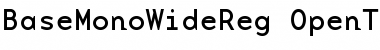 Download BaseMonoWideReg Roman Font Title Preview