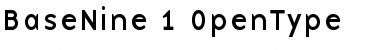 Download BaseNine Roman Font Title Preview