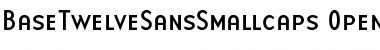 Download BaseTwelveSansSmallcaps Roman Font Title Preview