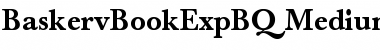 Download Baskerville Book Expert BQ Regular Font Title Preview