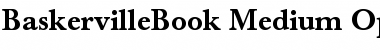 Download Berthold Baskerville Book Medium Font Title Preview