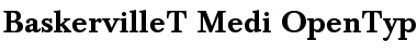 Download Baskerville T Medium Font Title Preview