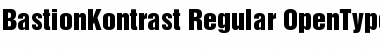 Download BastionKontrast-Regular Regular Font