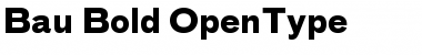 Download Bau-Bold Regular Font Title Preview