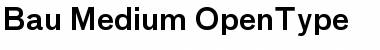 Download Bau-Medium Regular Font Title Preview