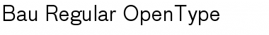 Download Bau-Regular Regular Font Title Preview