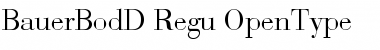 Download Bauer Bodoni D Regular Font Title Preview
