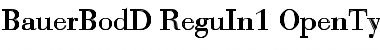 Download Bauer Bodoni D In1 Regular Font Title Preview