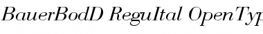 Download Bauer Bodoni D Regular Italic Font Title Preview